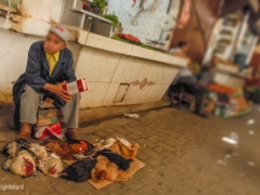 Fez_Morocco_People_and_Animals_0037b
