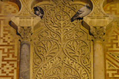 Cordoba_Scene_0051
