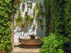 Cordoba_Scene_0035
