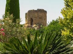 Cordoba_Scene_0042