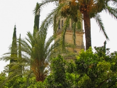 Cordoba_Scene_0043