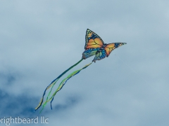 Hilton_Head_0056