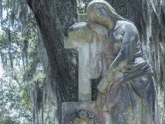 Savannah_0050