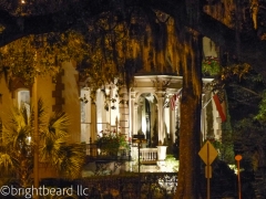 Savannah_0052