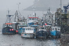 Scottish_Waterfront_Portree_0005