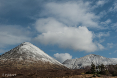 Scottish_Assorted_Bp_0008