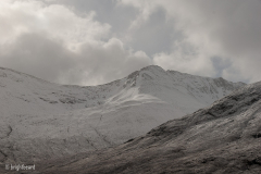 Scottish_Assorted_Bp_0009