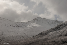 Scottish_Assorted_Bp_0009