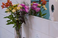 Scottish_Assorted_Bp_0016