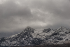 Scottish_Assorted_Bp_0017