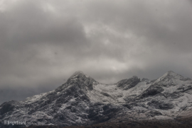 Scottish_Assorted_Bp_0017