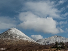 Scottish_Assorted_Bp_0008