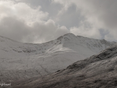 Scottish_Assorted_Bp_0009