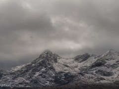 Scottish_Assorted_Bp_0017