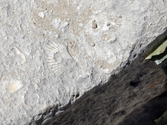 Les_Baux_0014
