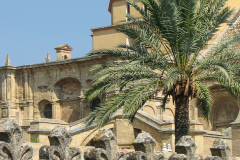 Cordoba_Scene_0024