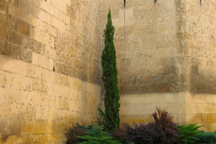 Cordoba_Scene_0028