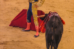 Madrid_Scenes_0019