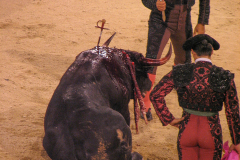 Madrid_Scenes_0020