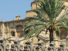 Cordoba_Scene_0024