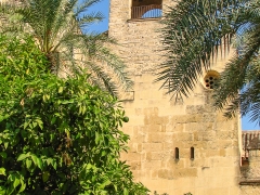 Cordoba_Scene_0025