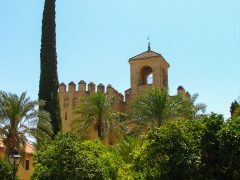 Cordoba_Scene_0026