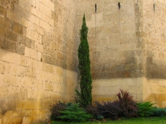Cordoba_Scene_0028