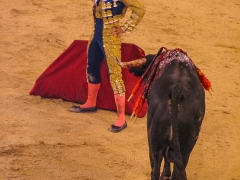 Madrid_Scenes_0019