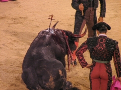 Madrid_Scenes_0020