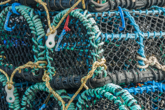 Miksang_Color_Texture__0024