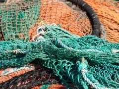 Miksang_Color_Texture__0017