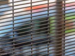 Miksang_Color_Texture__0021