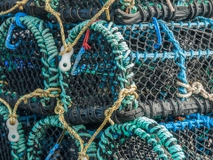 Miksang_Color_Texture__0024