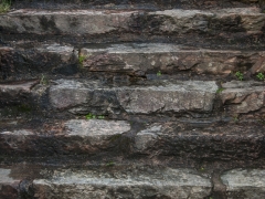 Miksang_Color_Texture__0025