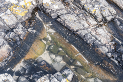 Miksang_Ab_Eye__0040