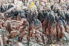 Miksang_Ab_Eye__0041