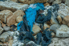 Miksang_Ab_Eye__0042