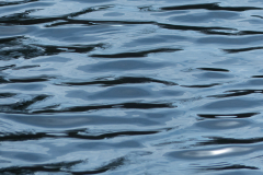 Miksang_Ab_Eye__0044