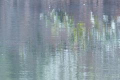 Miksang_Ab_Eye__0046