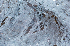 Miksang_Ab_Eye__0047