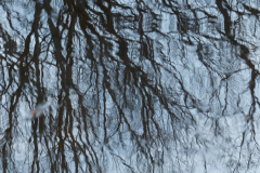 Miksang_Ab_Eye__0048