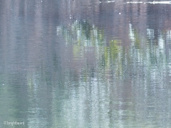 Miksang_Ab_Eye__0046