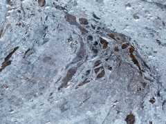 Miksang_Ab_Eye__0047