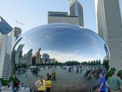 Bean_4