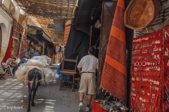 Fez_Morocco_Passages_and_Shops_0014