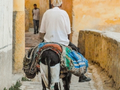 Fez_Morocco_Passages_and_Shops_0001