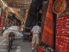 Fez_Morocco_Passages_and_Shops_0014