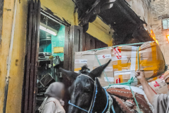 Fez_Morocco_People_and_Animals_0045b