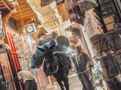 Fez_Morocco_People_and_Animals_0047b