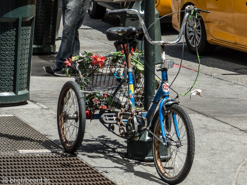 NYC815_0003